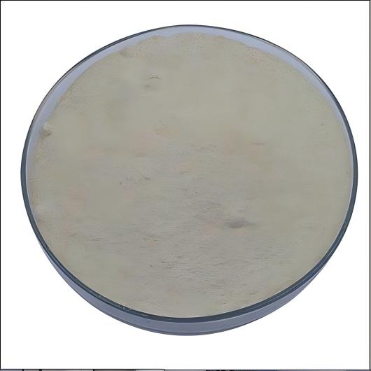 SBR powder for modified bitumen